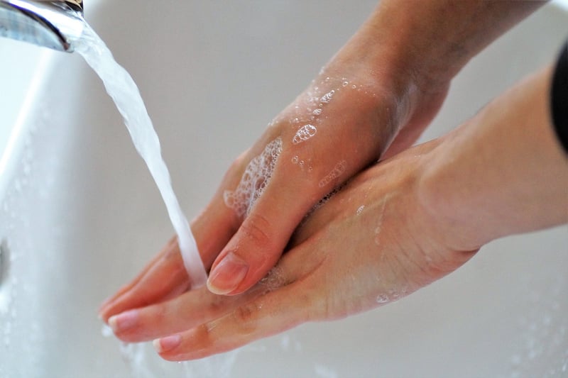 Food Safety and Hygiene